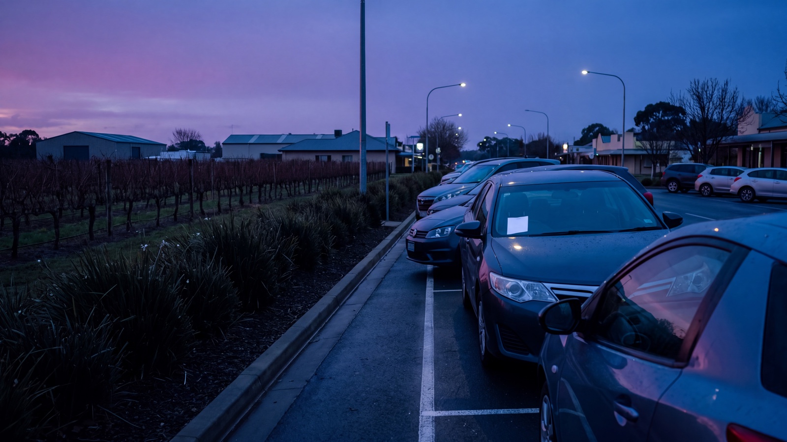 Generic regional parking street beside vineyard-edge landscaping at blue hour, with blank permit material